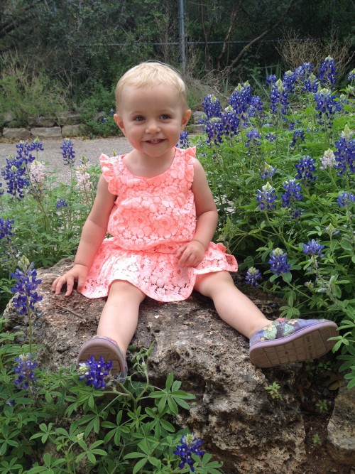 Just a cutie and some flowers