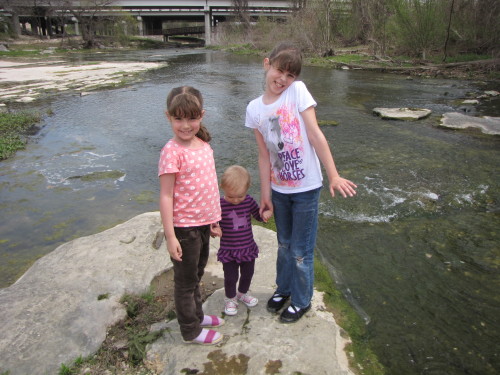 Collecting Fossils